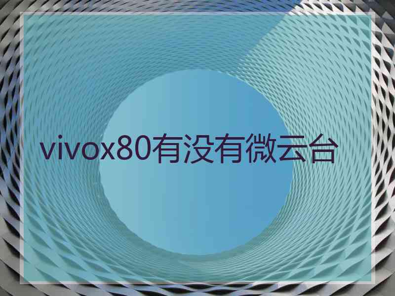 vivox80有没有微云台