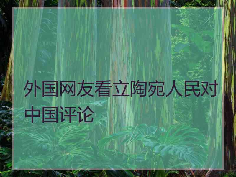 外国网友看立陶宛人民对中国评论