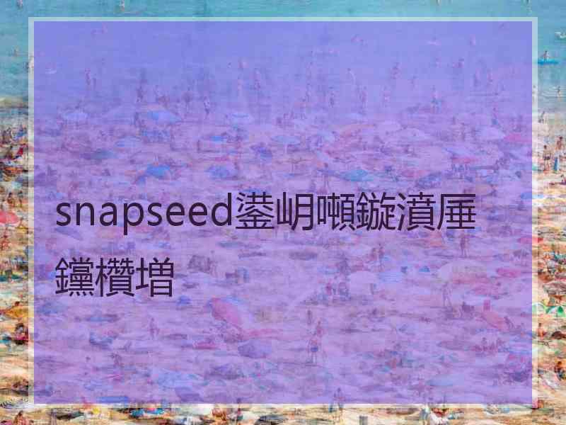 snapseed鍙岄噸鏇濆厜钂欑増