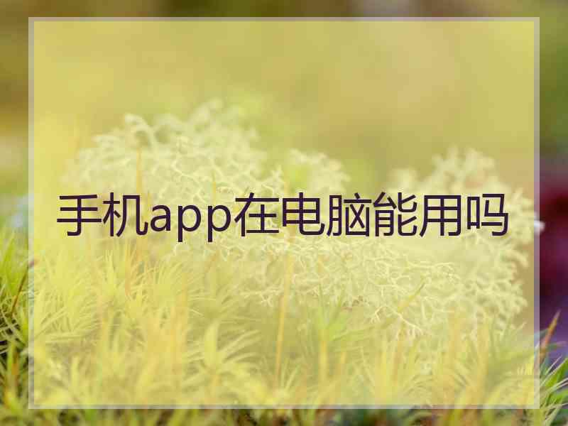 手机app在电脑能用吗