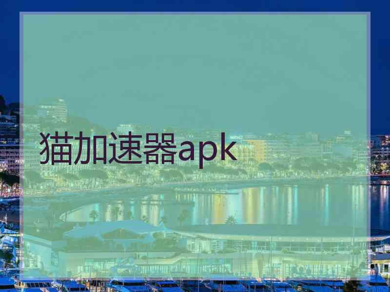 猫加速器apk