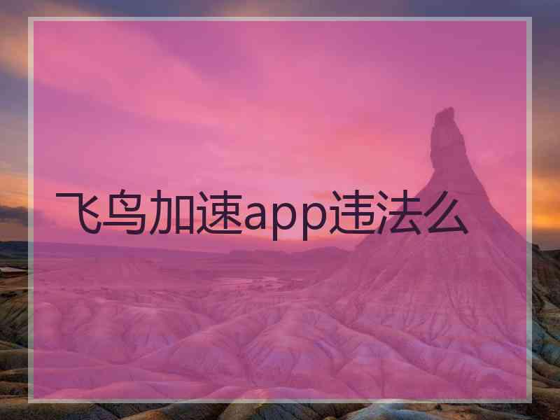 飞鸟加速app违法么