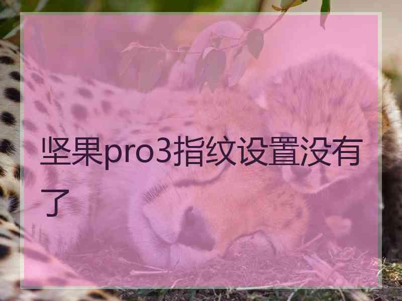 坚果pro3指纹设置没有了