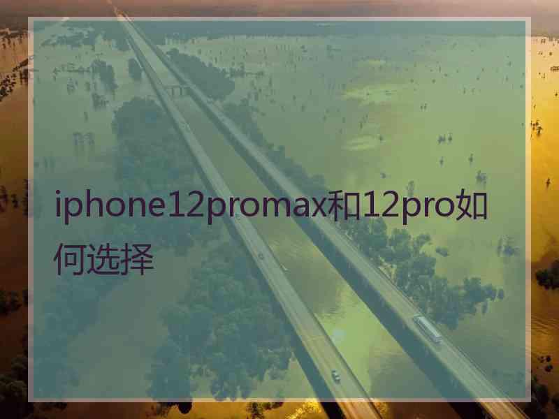 iphone12promax和12pro如何选择