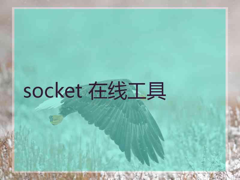 socket 在线工具