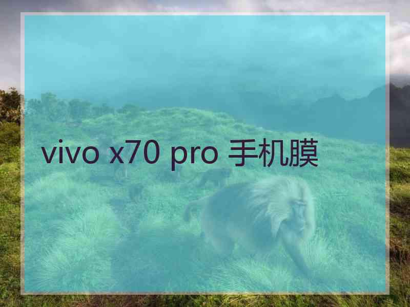 vivo x70 pro 手机膜