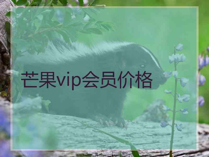 芒果vip会员价格