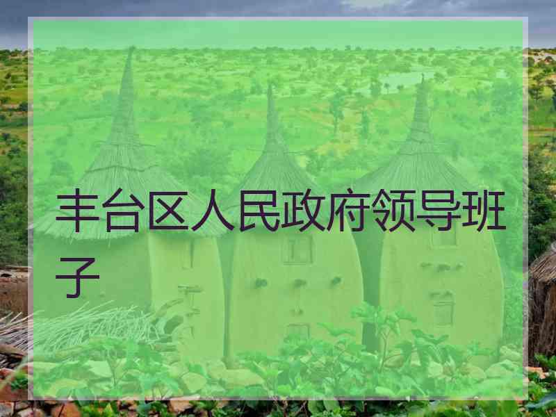 丰台区人民政府领导班子