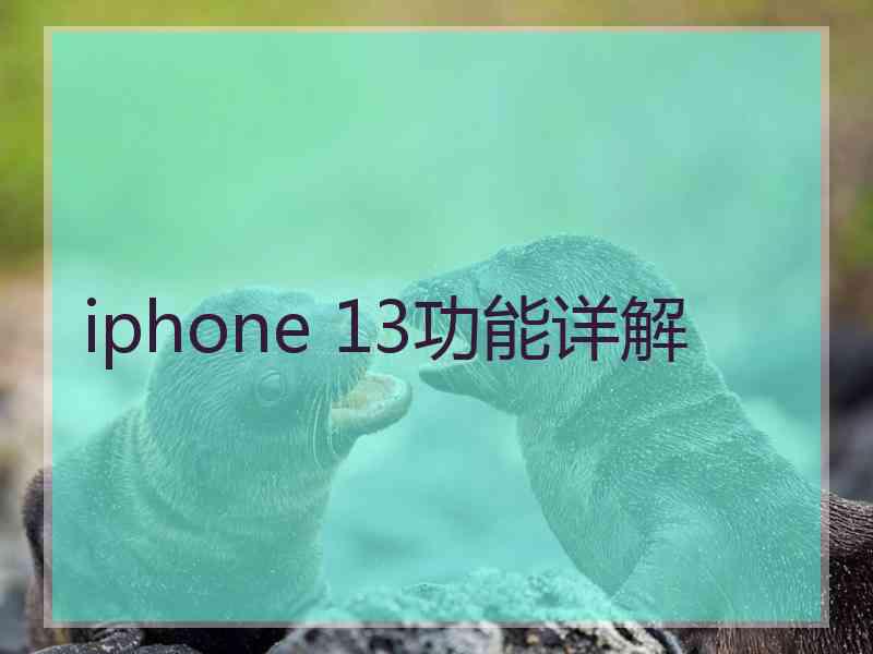 iphone 13功能详解