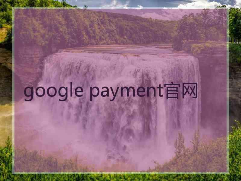 google payment官网