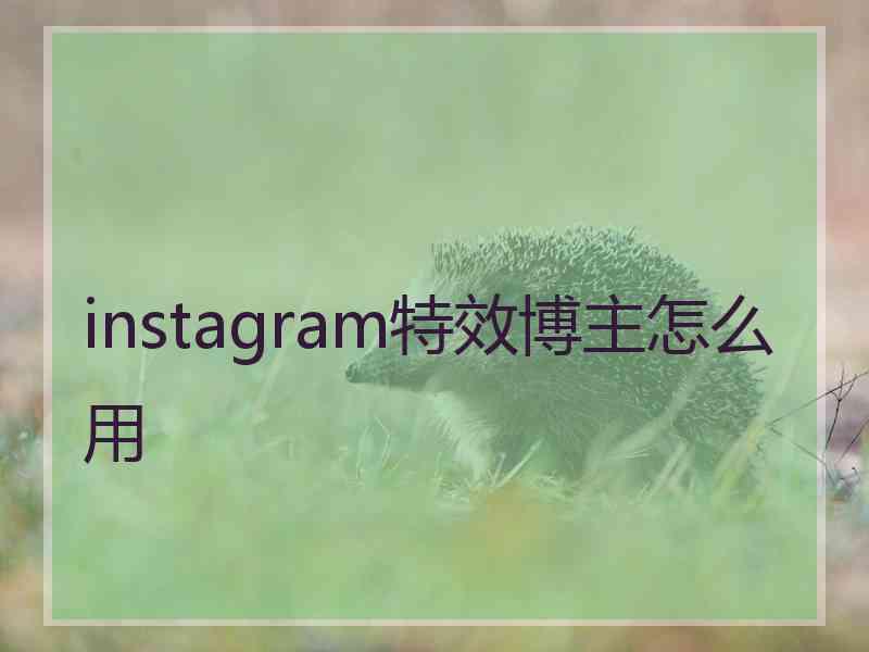 instagram特效博主怎么用