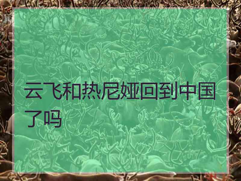 云飞和热尼娅回到中国了吗