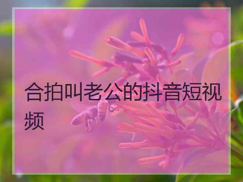 合拍叫老公的抖音短视频