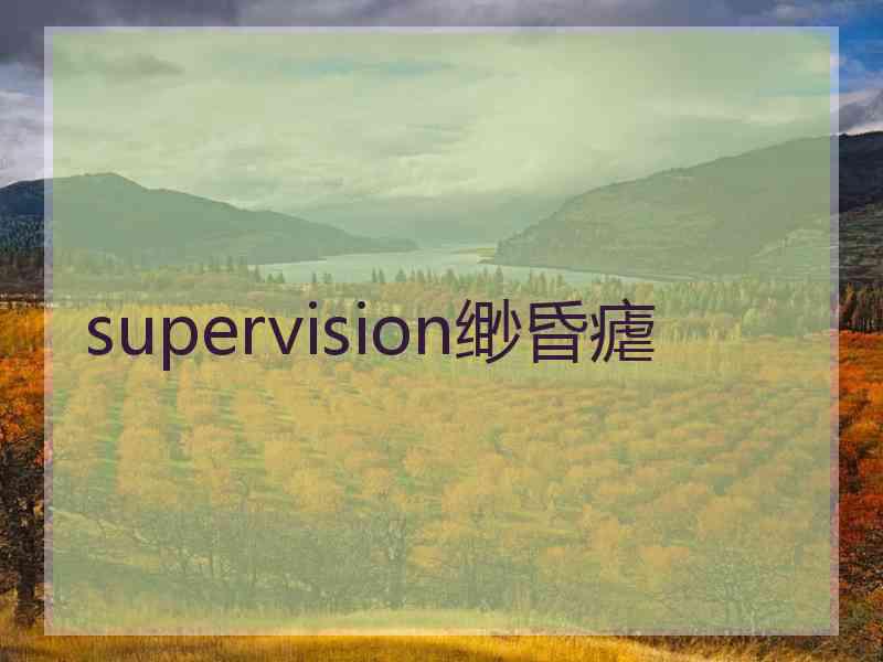 supervision缈昏瘧