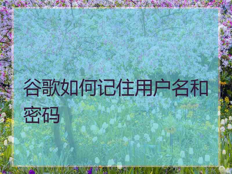 谷歌如何记住用户名和密码