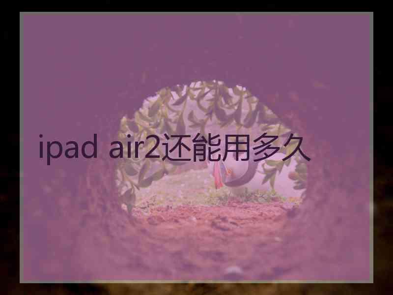 ipad air2还能用多久