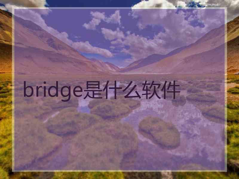 bridge是什么软件