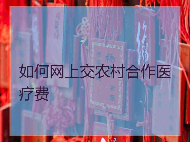 如何网上交农村合作医疗费