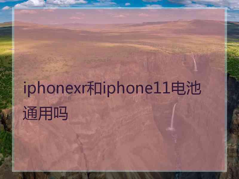 iphonexr和iphone11电池通用吗