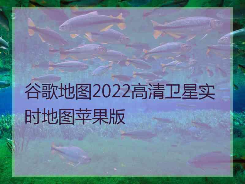 谷歌地图2022高清卫星实时地图苹果版