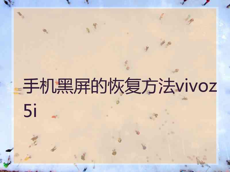 手机黑屏的恢复方法vivoz5i