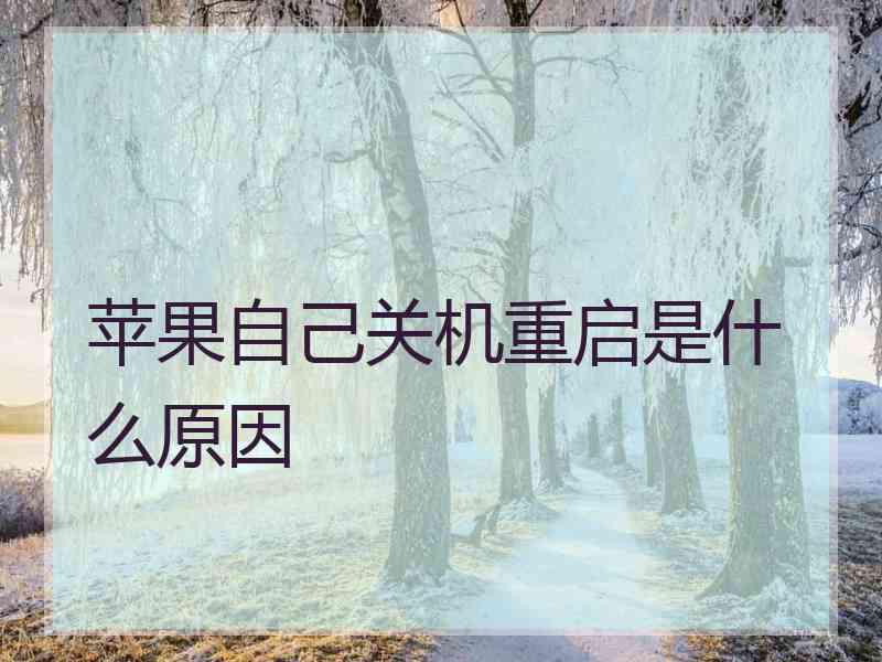 苹果自己关机重启是什么原因