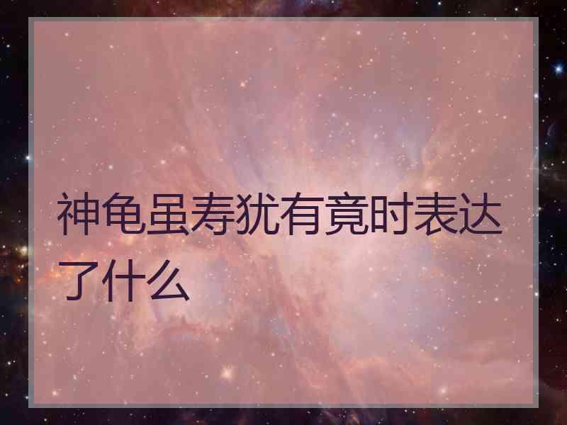 神龟虽寿犹有竟时表达了什么