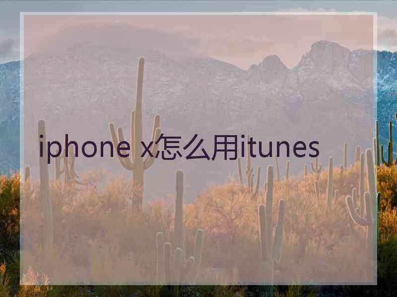 iphone x怎么用itunes