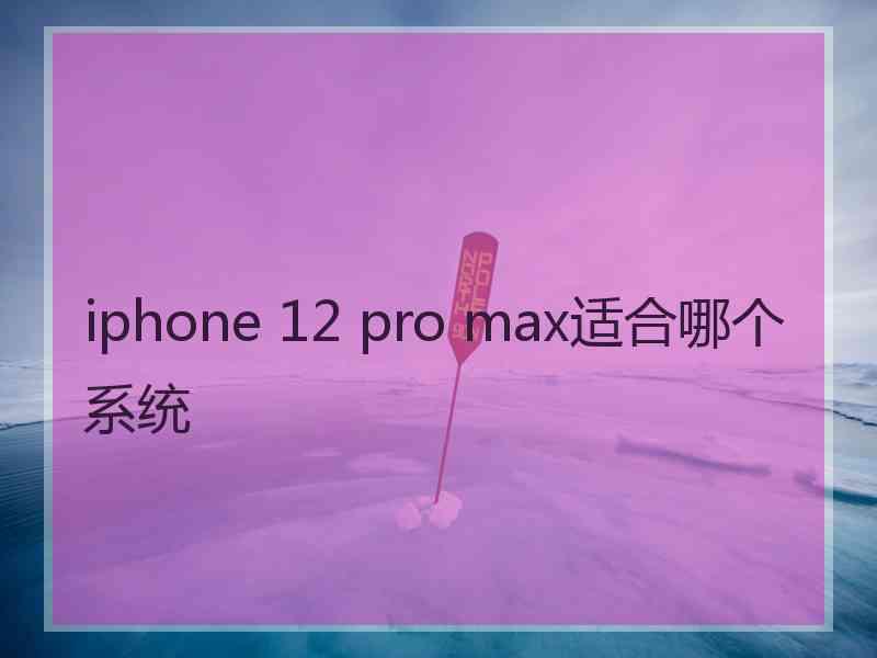 iphone 12 pro max适合哪个系统