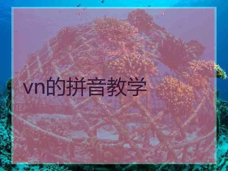 vn的拼音教学