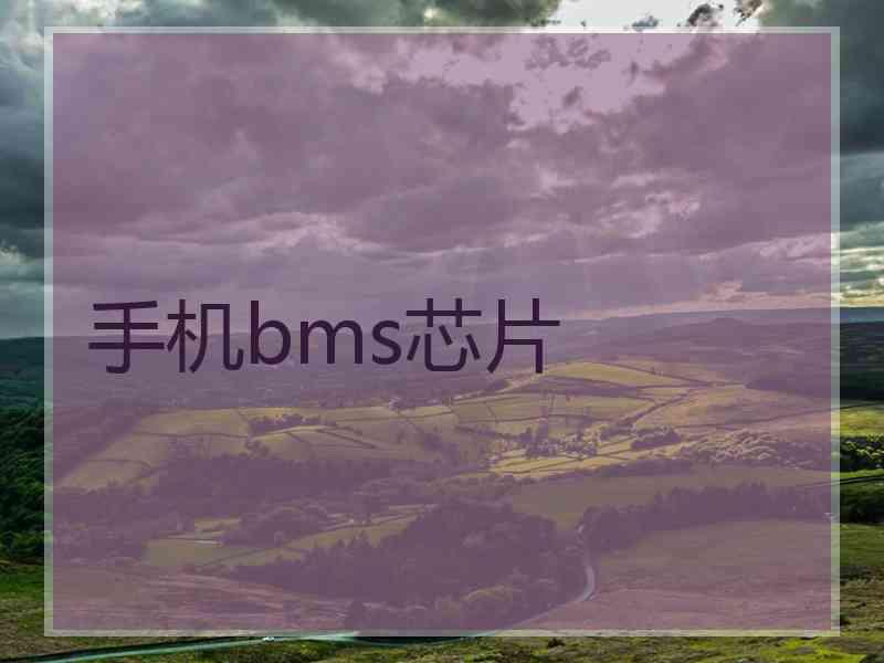 手机bms芯片