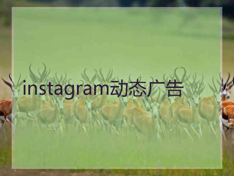 instagram动态广告