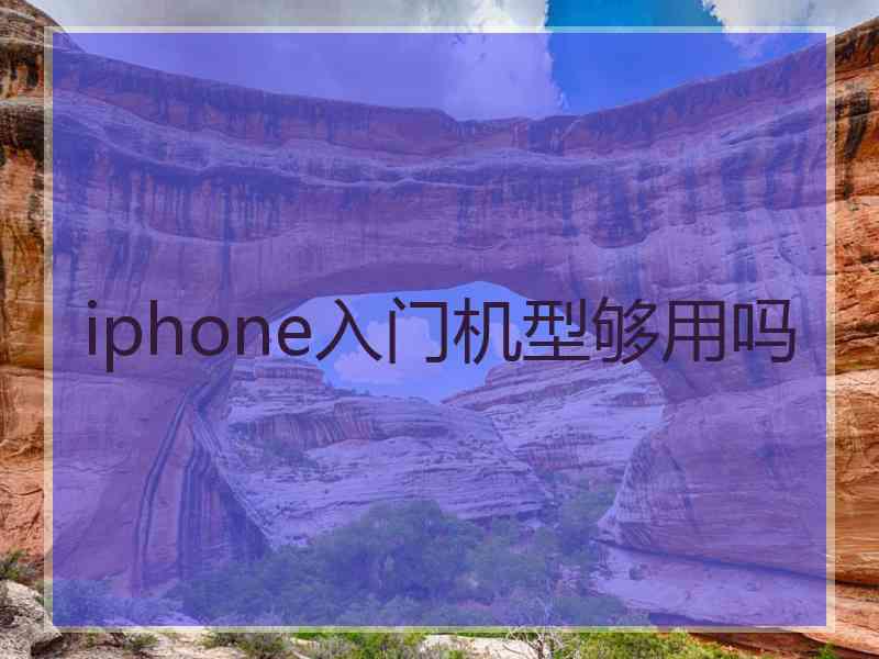 iphone入门机型够用吗