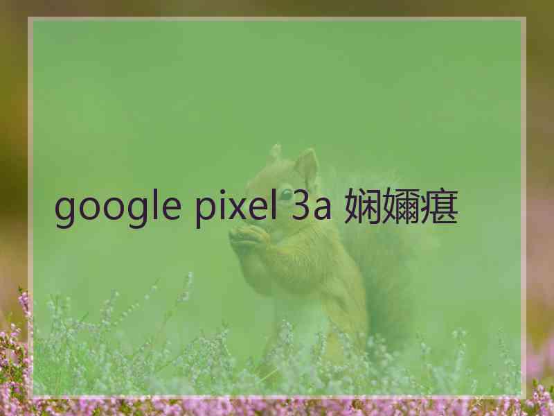 google pixel 3a 娴嬭瘎