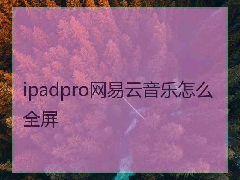 ipadpro网易云音乐怎么全屏