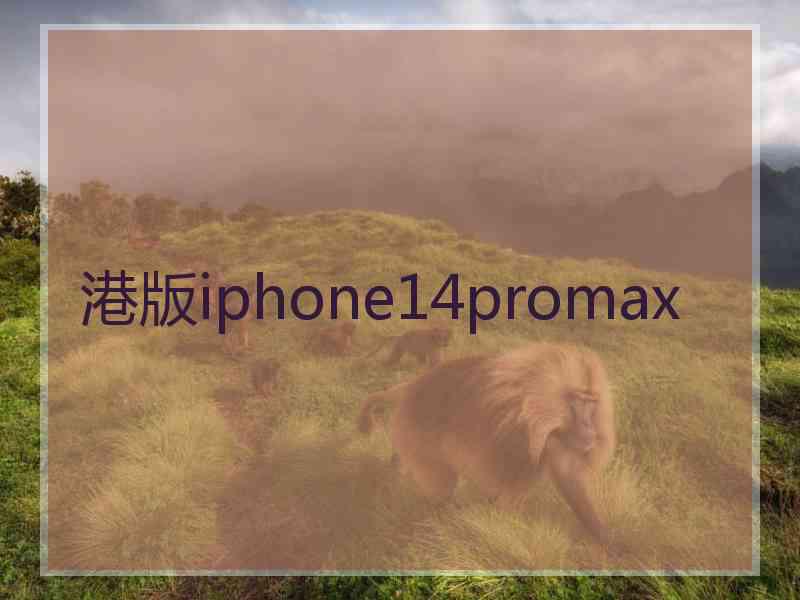 港版iphone14promax