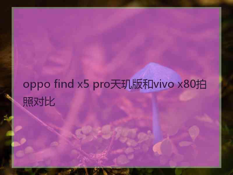 oppo find x5 pro天玑版和vivo x80拍照对比