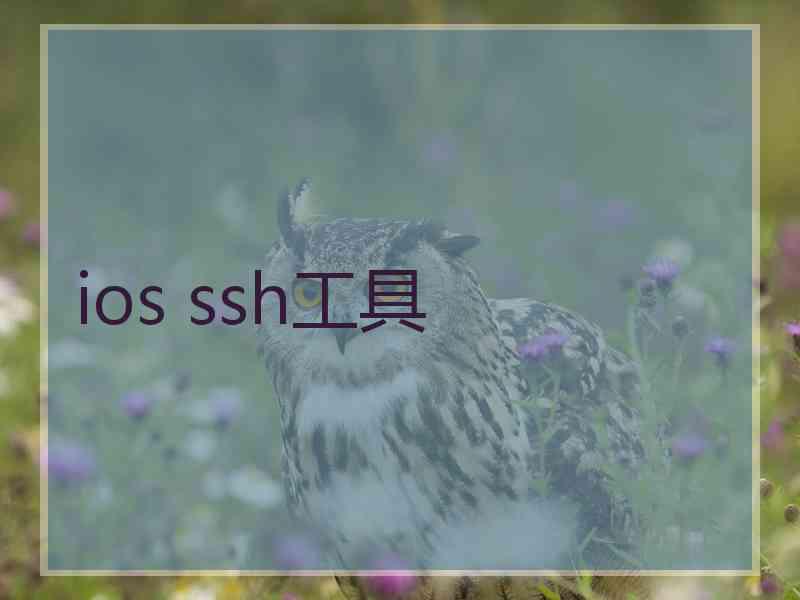 ios ssh工具