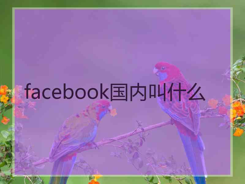 facebook国内叫什么