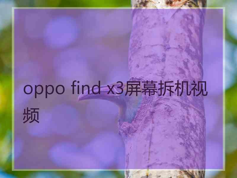 oppo find x3屏幕拆机视频