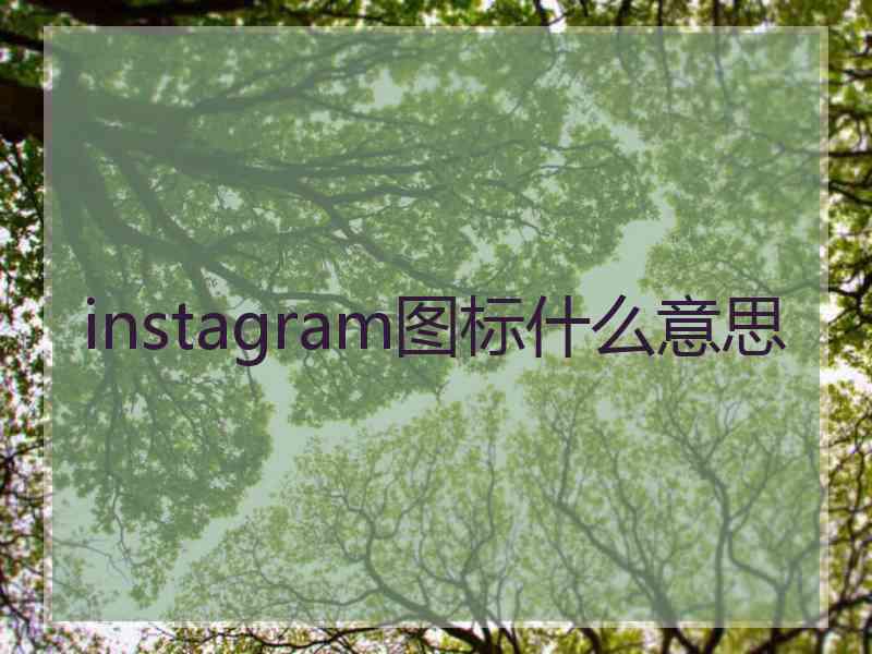 instagram图标什么意思