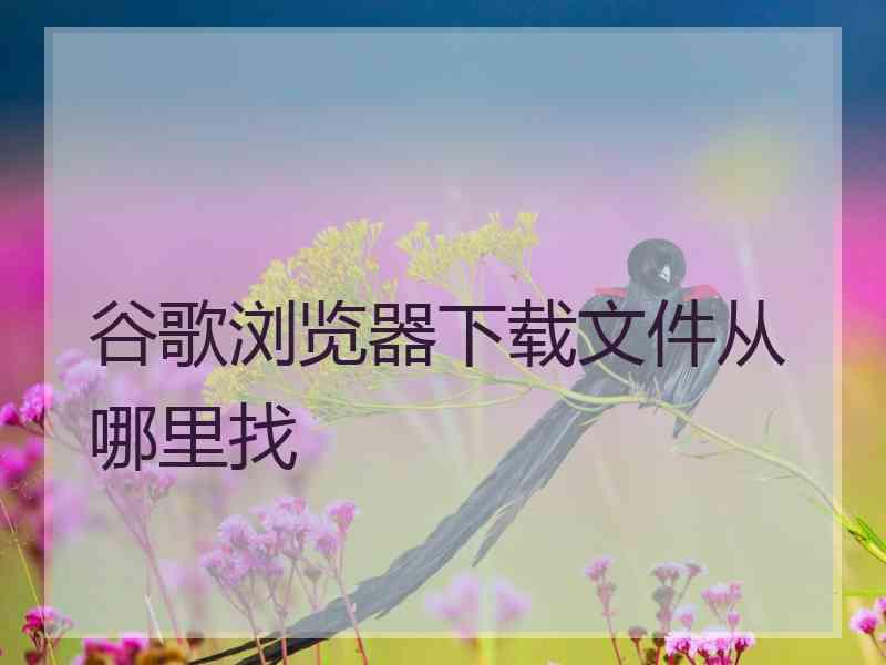 谷歌浏览器下载文件从哪里找