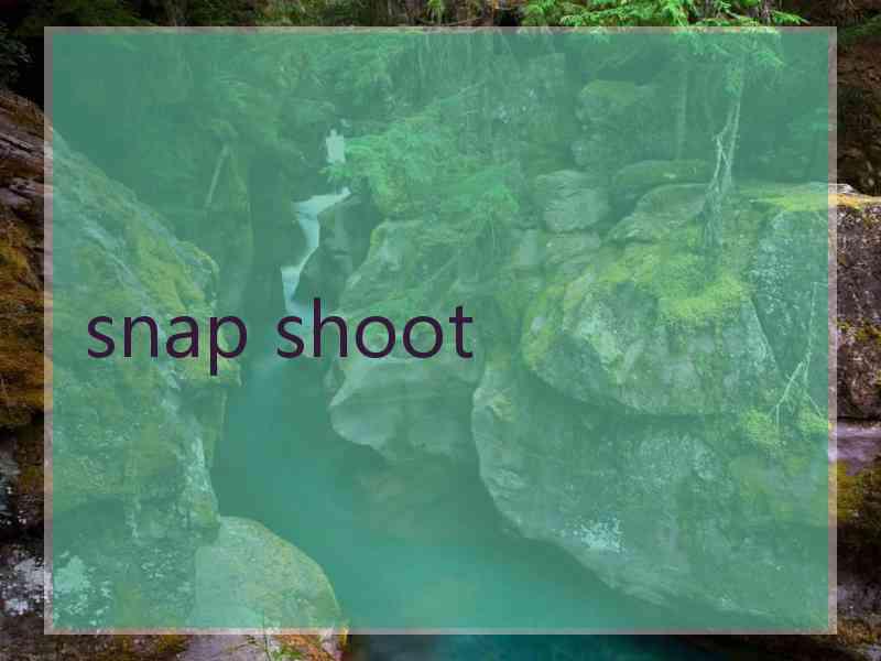 snap shoot