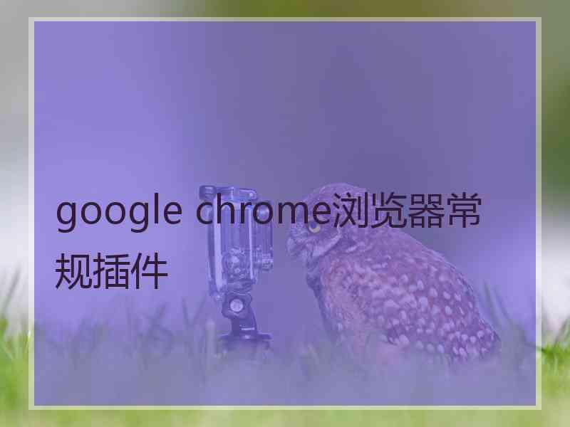 google chrome浏览器常规插件