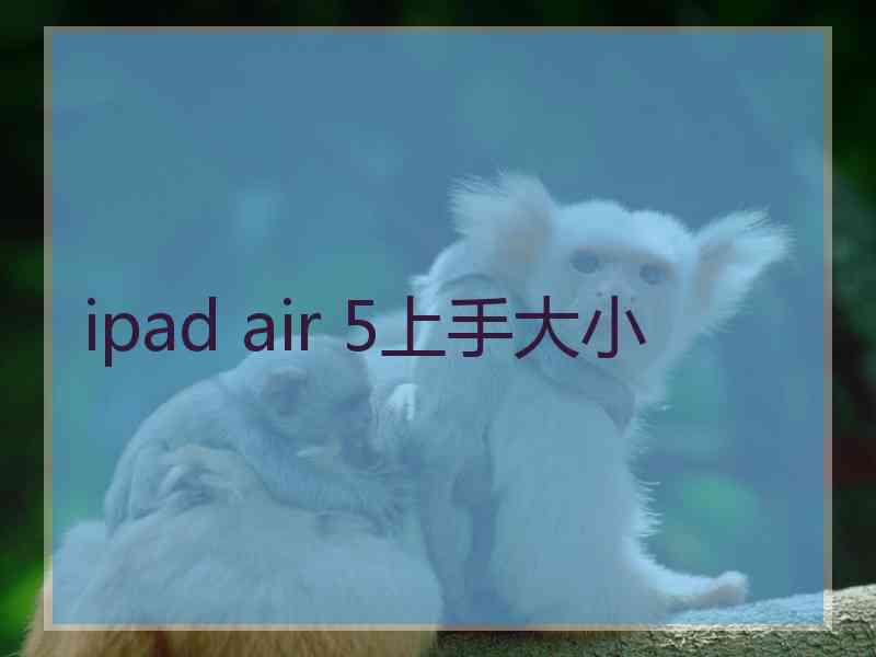 ipad air 5上手大小