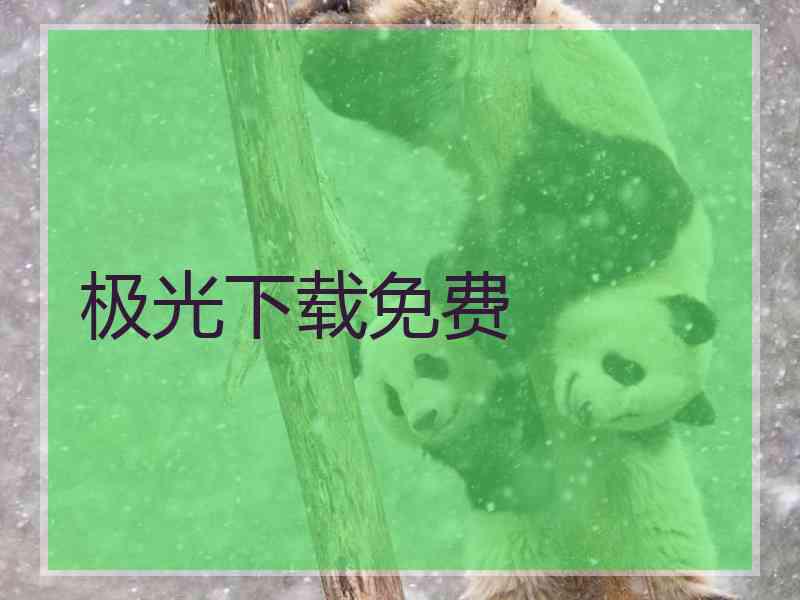 极光下载免费