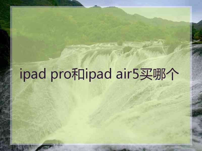 ipad pro和ipad air5买哪个