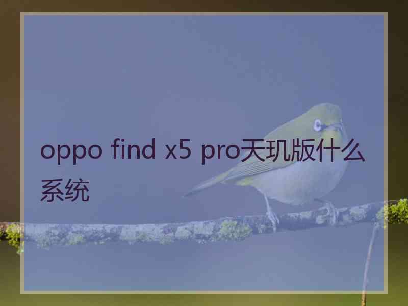 oppo find x5 pro天玑版什么系统