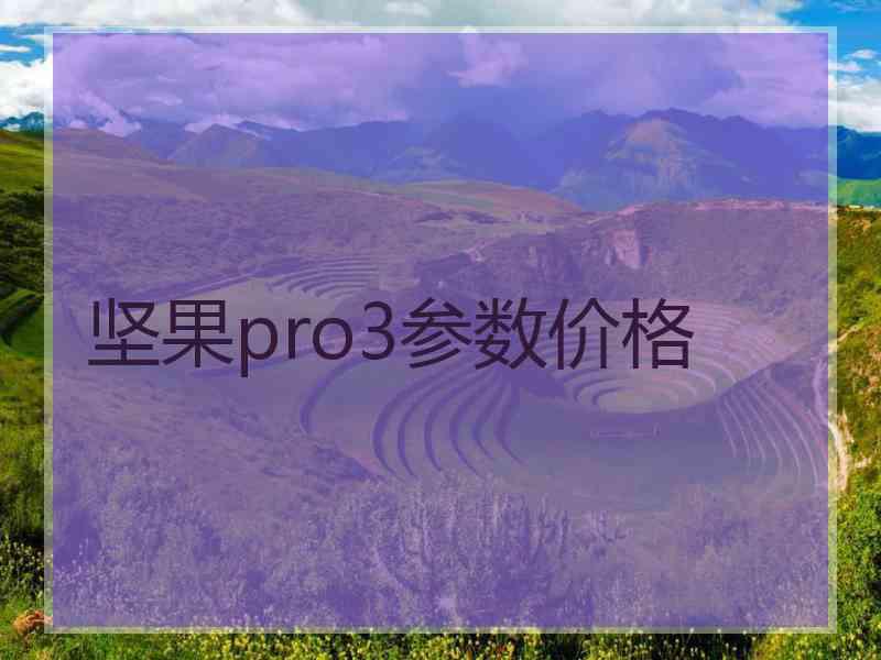 坚果pro3参数价格