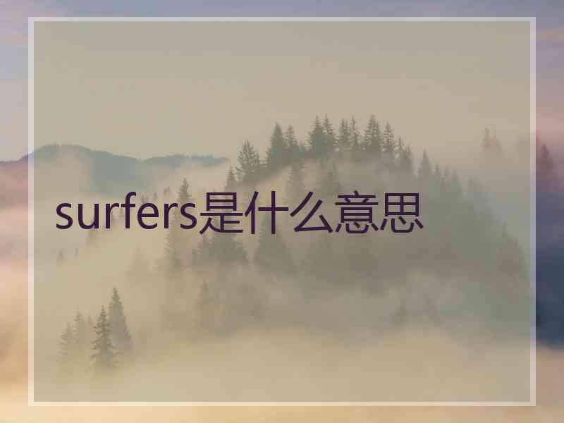 surfers是什么意思